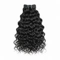 Indian Curly